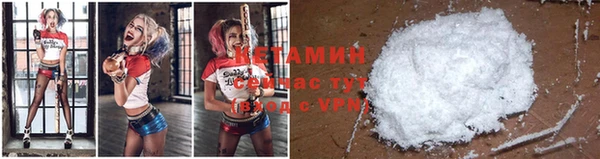 прущие грибы Майский