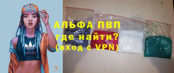 прущие грибы Майский