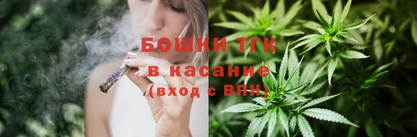 прущие грибы Майский