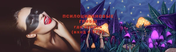 прущие грибы Майский